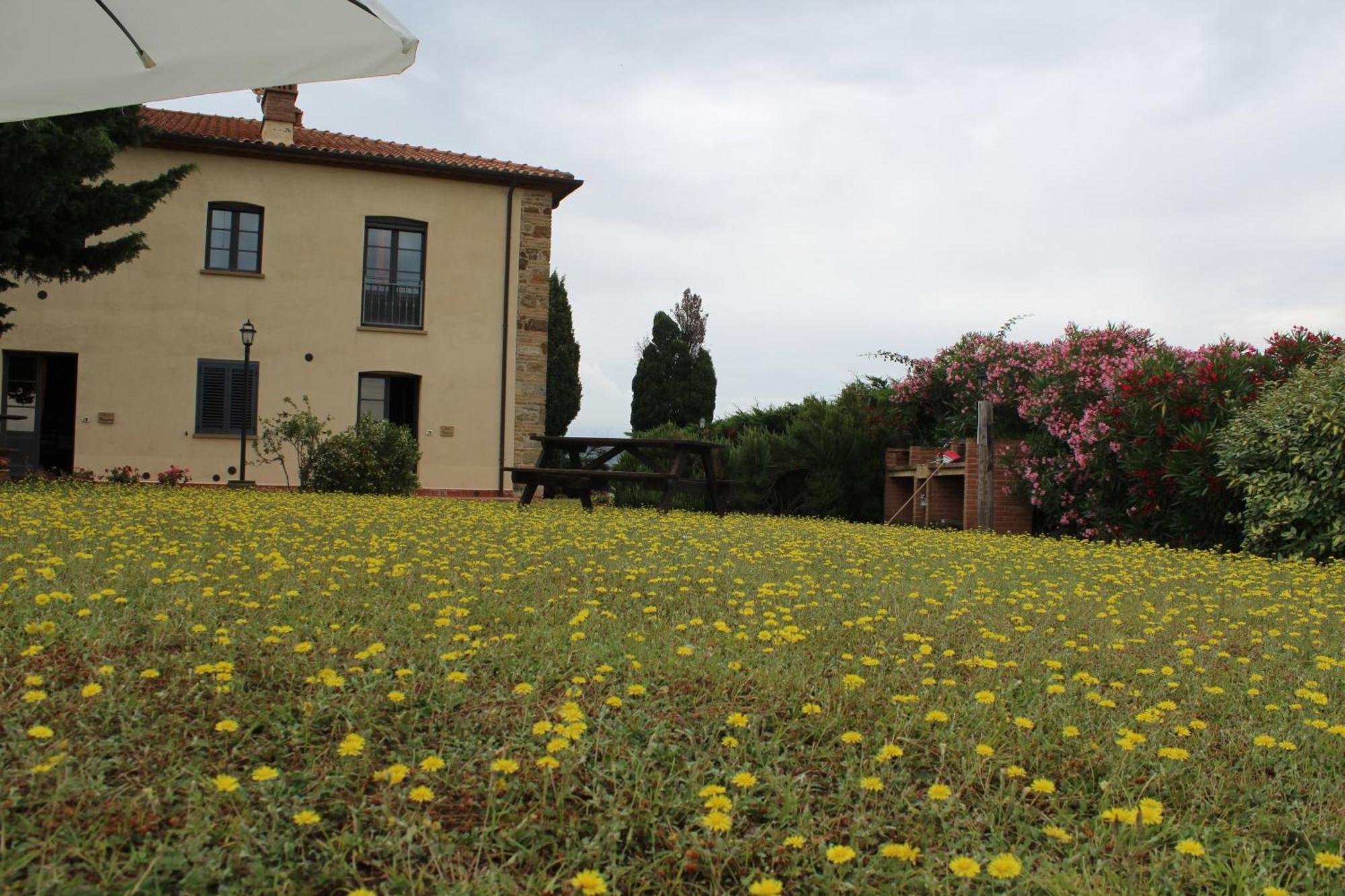 Apartamento Casale Poggio Meone Santa Luce Exterior foto